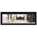 Napoleon Vector 50 See Thru Linear Direct Vent Gas Fireplace with Clear Crushed Glass Embers