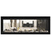 Napoleon Vector 50 See Thru Linear Direct Vent Gas Fireplace with Clear  Crushed Glass Embers and Beach Fire Log Kit