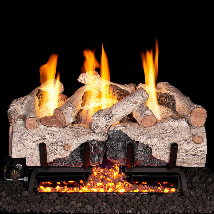 RH Peterson Real Fyre Charred Alpine Birch Outdoor Vent Free Gas Log Set