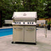 Prestige 665 Gas Grill with Infrared Side and Rear Burners Outdoor Scaled Near The Pool