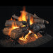 RH Peterson Real Fyre Charred American Oak See Thru Vented Gas Log Set