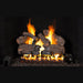 RH Peterson Real Fyre Charred Oak Flame Enhanced Vented Gas Log Set