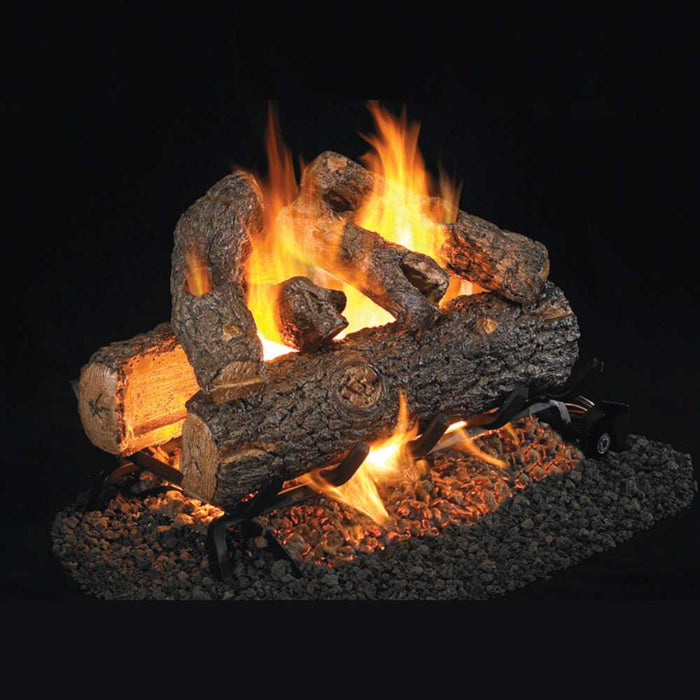 RH Peterson Real Fyre Golden Oak Designer Plus See Thru Outdoor Vented Gas Log Set