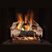 RH Peterson Real Fyre Mountain Birch Flame Enhanced Vented Gas Log Set