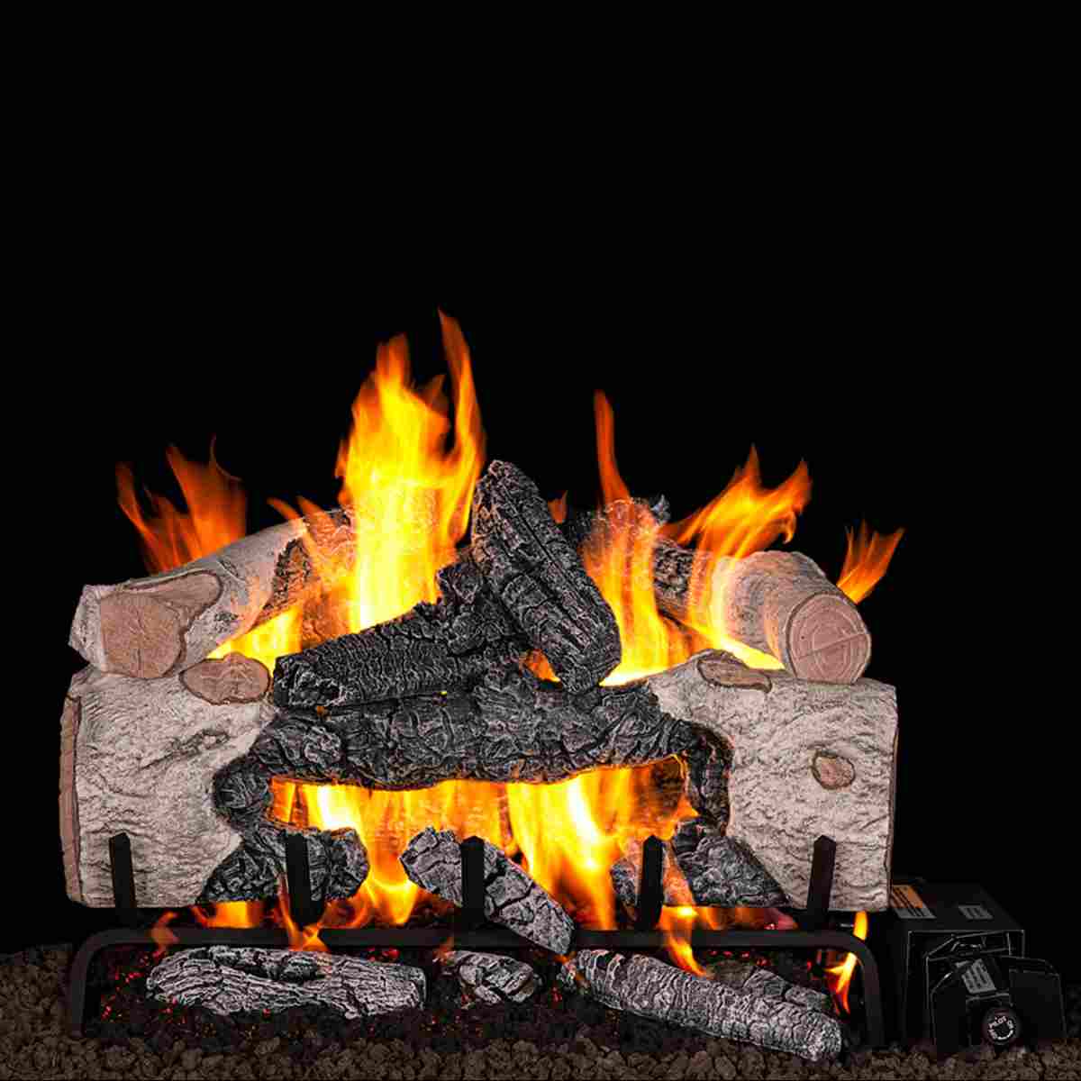 RH Peterson Real Fyre Charred Cinder Birch Vented Gas Log Set — The ...