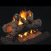 RH Peterson Real Fyre Golden Oak Designer See Thru Vented Gas Log Set