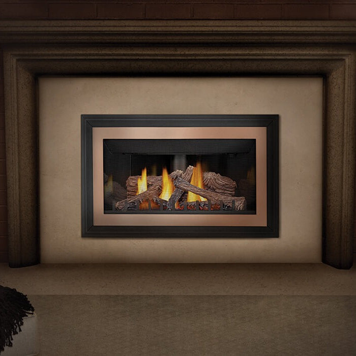 Napoleon Inspiration ZC Direct Vent Gas Insert