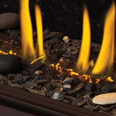 Napoleon Ascent 46" Direct Vent Gas Fireplace