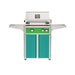 American Outdoor Grill 24" L-Series Portable Gas Grill with green accent panel and teal accent panel cart base, large analog thermometer and push-button electronic ignition with backlit comfort-touch control knobs.