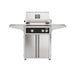 American Outdoor Grill 24" L-Series Portable Gas Grill in black accent panel and cart base.
