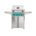 American Outdoor Grill 24" L-Series Portable Gas Grill in teal accent panel and cart base.
