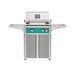 American Outdoor Grill 24" L-Series Portable Gas Grill with teal accent panel and gray accent panel cart base, large analog thermometer and push-button electronic ignition with backlit comfort-touch control knobs.