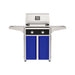 American Outdoor Grill 24" T-Series Portable Gas Grill with black accent panel and blue accent panel cart base, large analog thermometer and push-button electronic ignition with backlit comfort-touch control knobs.
