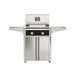 American Outdoor Grill 24" T-Series Portable Gas Grill in black accent panel and cart base.
