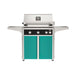 American Outdoor Grill 30" L-Series Portable Gas Grill with black accent panel and teal accent panel cart base, large analog thermometer and push-button electronic ignition with backlit comfort-touch control knobs.
