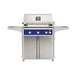 American Outdoor Grill 30" L-Series Portable Gas Grill in blue accent panel and cart base.
