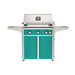 American Outdoor Grill 30" L-Series Portable Gas Grill with teal accent panel and teal accent panel cart base, large analog thermometer and push-button electronic ignition with backlit comfort-touch control knobs.
