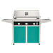 American Outdoor Grill 36" L-Series Portable Gas Grill with black accent panel and teal accent panel cart base, large analog thermometer and push-button electronic ignition with backlit comfort-touch control knobs.
