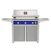 American Outdoor Grill 36" L-Series Portable Gas Grill with blue accent panel and gray accent panel cart base, large analog thermometer and push-button electronic ignition with backlit comfort-touch control knobs.

