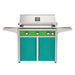 American Outdoor Grill 36" L-Series Portable Gas Grill with green accent panel and teal accent panel cart base, large analog thermometer and push-button electronic ignition with backlit comfort-touch control knobs.
