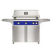 American Outdoor Grill 36" L-Series Portable Gas Grill in blue accent panel and cart base.
