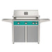 American Outdoor Grill 36" L-Series Portable Gas Grill with teal accent panel and gray accent panel cart base, large analog thermometer and push-button electronic ignition with backlit comfort-touch control knobs.
