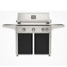 American Outdoor Grill 36" L-Series Portable Gas Grill with black cart accent panel.
