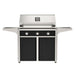 American Outdoor Grill 36" T-Series Portable Gas Grill with black accent panel and black accent panel cart base, large analog thermometer and push-button electronic ignition with backlit comfort-touch control knobs.
