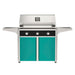 American Outdoor Grill 36" T-Series Portable Gas Grill with black accent panel and teal accent panel cart base, large analog thermometer and push-button electronic ignition with backlit comfort-touch control knobs.
