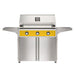 american-outdoor-grill-36-t-series-portable-gas-grill-in-yellow-accent-panel-aog36tn-36crt-25-product
