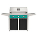 American Outdoor Grill 36" T-Series Portable Gas Grill with teal accent panel and black accent panel cart base, large analog thermometer and push-button electronic ignition with backlit comfort-touch control knobs.
