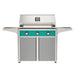 American Outdoor Grill 36" T-Series Portable Gas Grill with teal accent panel and gray accent panel cart base, large analog thermometer and push-button electronic ignition with backlit comfort-touch control knobs.
