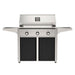 american-outdoor-grill-36-t-series-portable-gas-grill-with-black-cart-accent-panel-aog36tn-36crt-25-product
