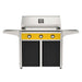 American Outdoor Grill 36" T-Series Portable Gas Grill with yellow accent panel and black accent panel cart base, large analog thermometer and push-button electronic ignition with backlit comfort-touch control knobs.
