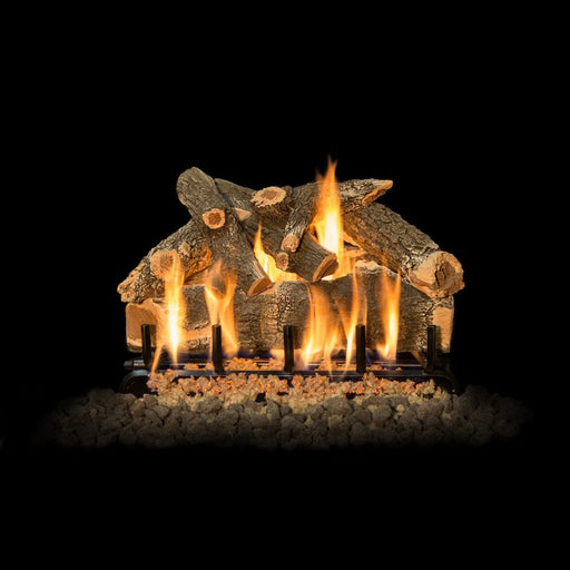 rand Canyon Arizona Weathered Oak 24 Inch with 2 Burner on Black Background Bed