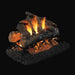 RH Peterson Real Fyre American Oak See Thru Outdoor Vented Gas Log Set