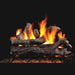 RH Peterson Real Fyre Coastal Driftwood See Thru Vented Gas Log Set
