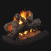 RH Peterson Real Fyre Golden Oak See Thru Outdoor Vented Gas Log Set