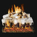 RH Peterson Real Fyre Mountain Birch Outdoor Vented Gas Log Set