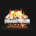RH Peterson Real Fyre White Birch Outdoor Vented Gas Log Set
